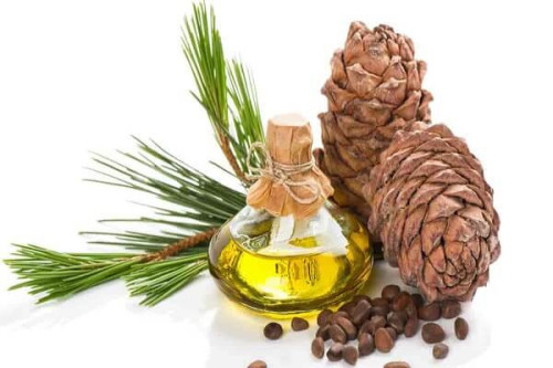 Tinh dầu cây thông đỏ Hàn Quốc có thực sự thần thánh như lời đồn?