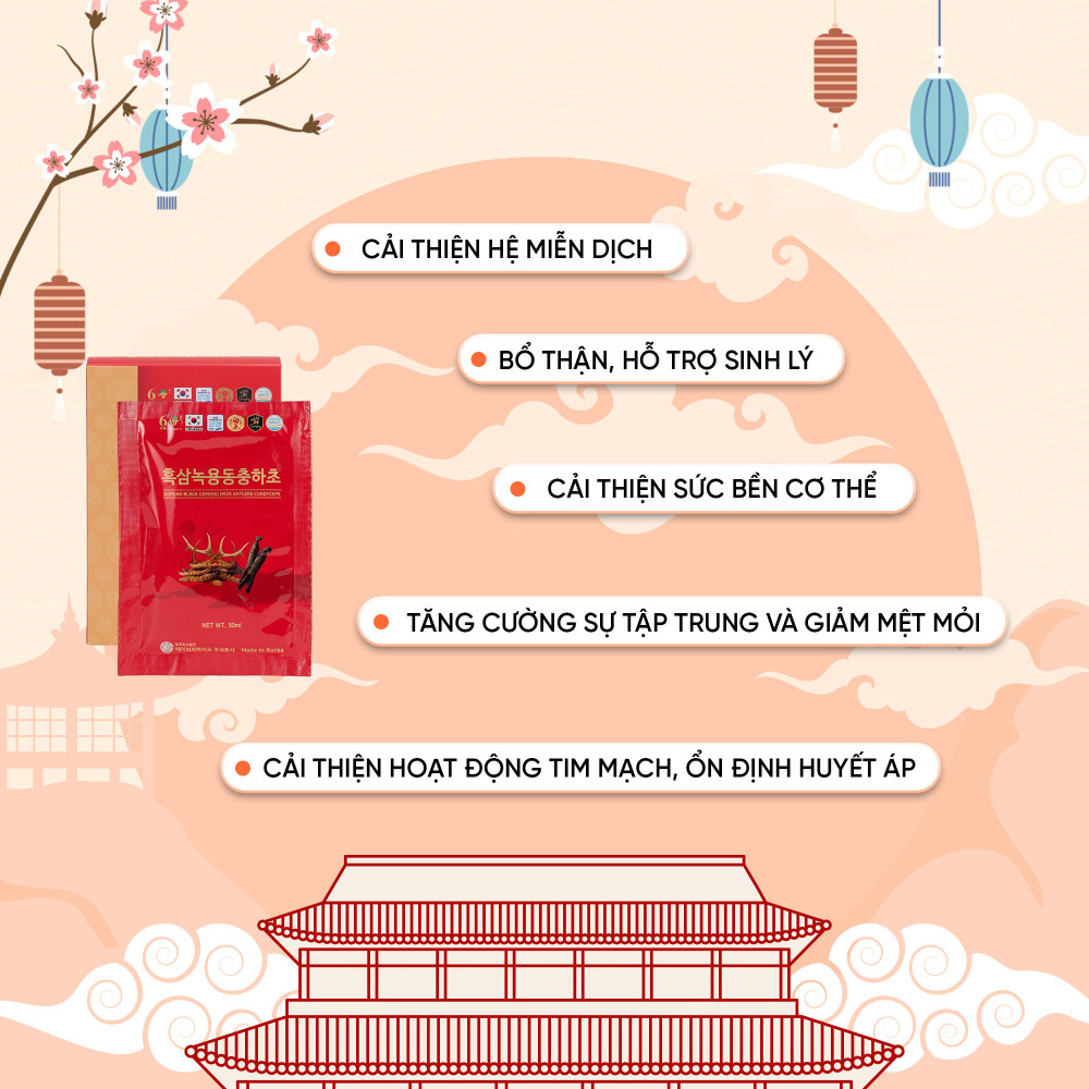 Nước Hắc Sâm Nhung Hươu Đông Trùng 50ml X 30 Gói